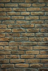 Brick wall background vertical