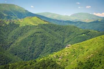 Naklejka premium Mountain hut