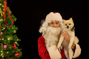 Adorable portrait with Santa and sweet dog