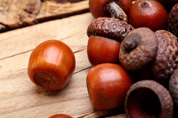 Dried acorn scattered on wooden table.Autumn background.Closeup.Copy space.Selective focus