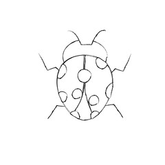 ladybug arthropod insect single icon vector illustration