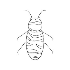 bee icon honey flying insect animal garden vector illustration