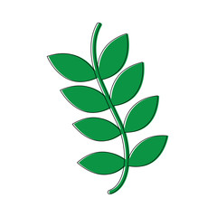 branch with green leaves nature vector illustration