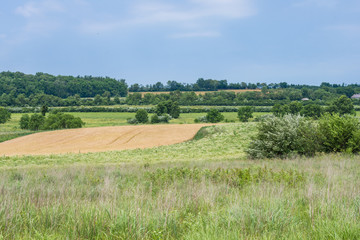 Fototapeta na wymiar Rural Country York County Pennsylvania Farmland, on a Summer Day