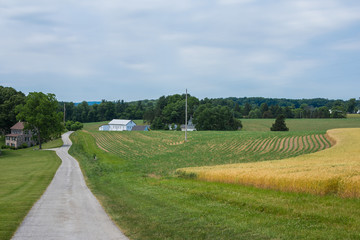 Fototapeta premium Rural Country York County Pennsylvania Farmland, on a Summer Day