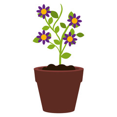 flower in pot icon vector illustration design