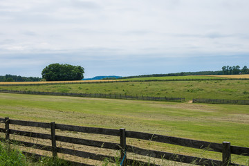 Rural Country York County Pennsylvania Farmland, on a Summer Day