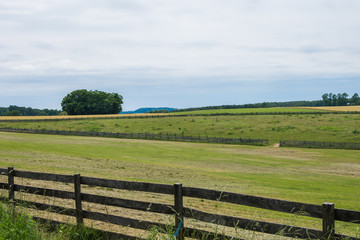 Rural Country York County Pennsylvania Farmland, on a Summer Day
