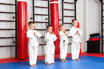 Little children practicing karate in dojo © Africa Studio