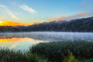 Morning foggy landscape image of Nemunas river