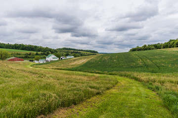 Naklejka premium Rural Landscape of Hartford County Farmland in Northern Maryland