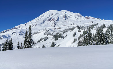 Snowshoe Trip Mt Rainier National Park