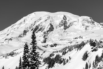 Obraz premium Mt. Rainier National Park B&W