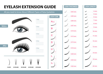 Eyelash extension guide. Different Types of False Eyelashes. Infographic vector illustration. Template for Makeup and cosmetic procedures. Training poster - obrazy, fototapety, plakaty