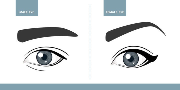 Male and Female eyes. Vector illustration. Template for Makeup or ophthalmology