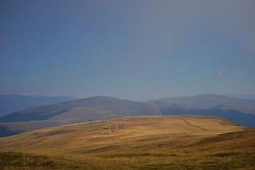 Autumn mountain landscape with blue sky and a flock of sheep visible in the distance