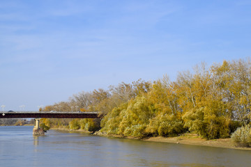 Fototapeta na wymiar Autumn landscape. River bank with autumn trees. Poplars on the b