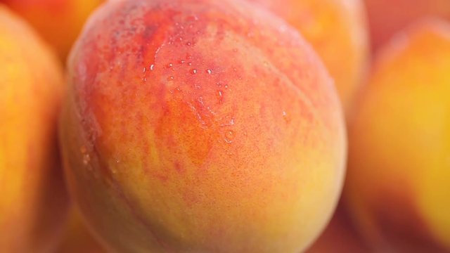 Wet ripe juicy nectarine peaches ready for sale in market, summer harvest