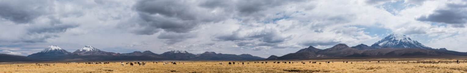 Panorama of Altiplano
