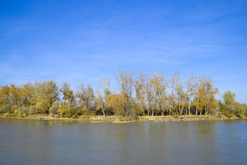 Autumn landscape. River bank with autumn trees. Poplars on the b