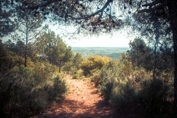 Obraz premium Paisaje desde la montaña