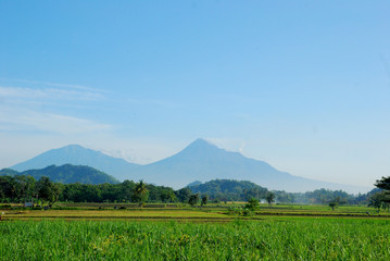 Fototapeta premium the landscape of Mount Merapi