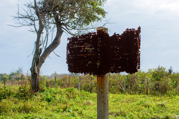 Blank old rusty sign board on under road