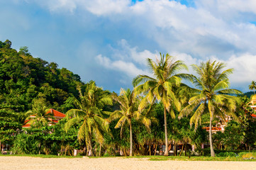 Fototapeta na wymiar Tropical palms on sand beach