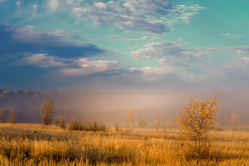 Mountain road in autumn colours