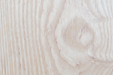 Abstract Ash Wood texture natural design , used for background website or add text in advertise