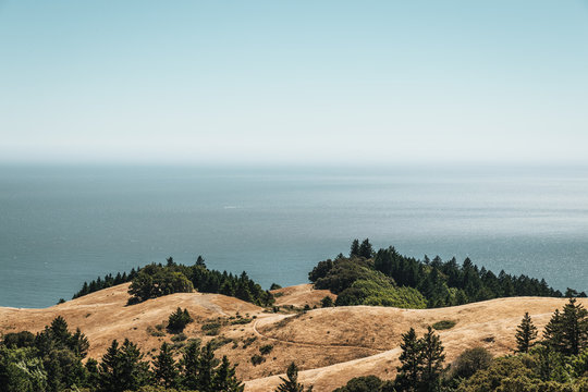 Bolinas Ridge Coastal Views
