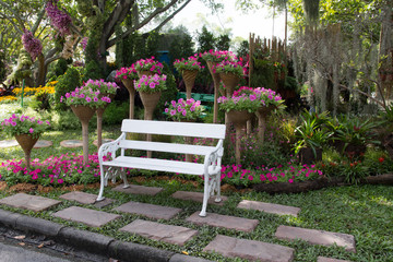 White bench with the bush and pink flower Background
