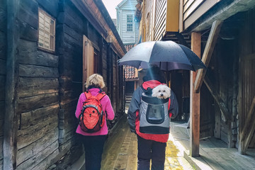 A couple of outdoor tourists with a dog in a backpack in streets of Bergen, Norway