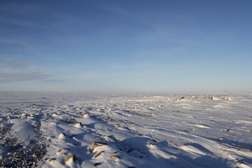 Fototapeta na wymiar Winter arctic landscape with snow on the ground near Arviat, Nunavut