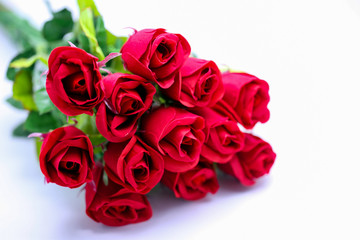 Natural red rose isolated