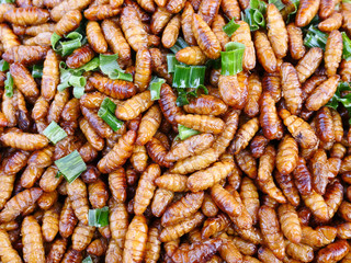 Deep fried insects and bugs