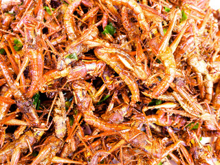 Deep fried insets and bugs