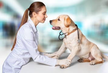 Woman veterinarian.