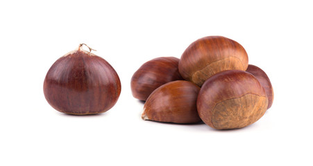 Fresh chestnuts isolated on white background. Hippocastanum isolated. Chestnut with clipping path. Macro