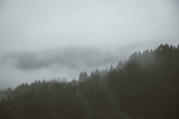 foggy mountain rainy day II