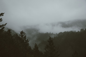 foggy mountain rainy day I