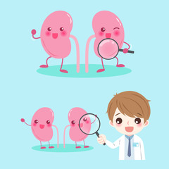 kidney with healthy problem