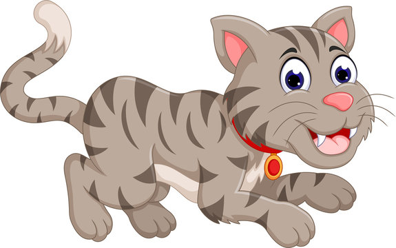 funny cat cartoon posing with laughing