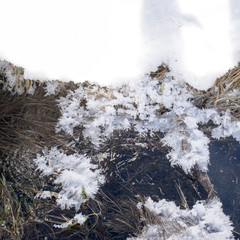 Le meraviglie del gelo