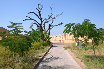 Obraz premium Fort Nakhargar in India Jaipur a historical construction 