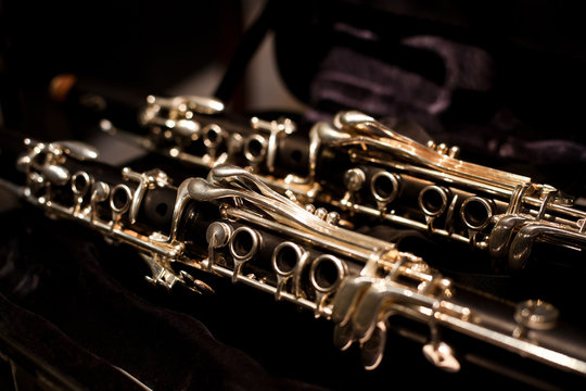 Fragment of the clarinet in dark colors