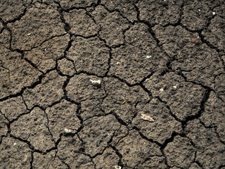 Dried cracked earth soil ground texture background.Crack soil on dry season, Global worming effect.