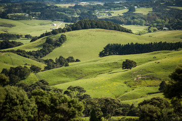 green farming landscape rolling hills - obrazy, fototapety, plakaty