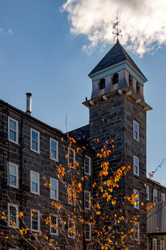 Warm in the Afternoon Sun