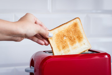 Red toaster with toasted bread for breakfast inside. Hands Girl pulls out ready toasts. - 183708302